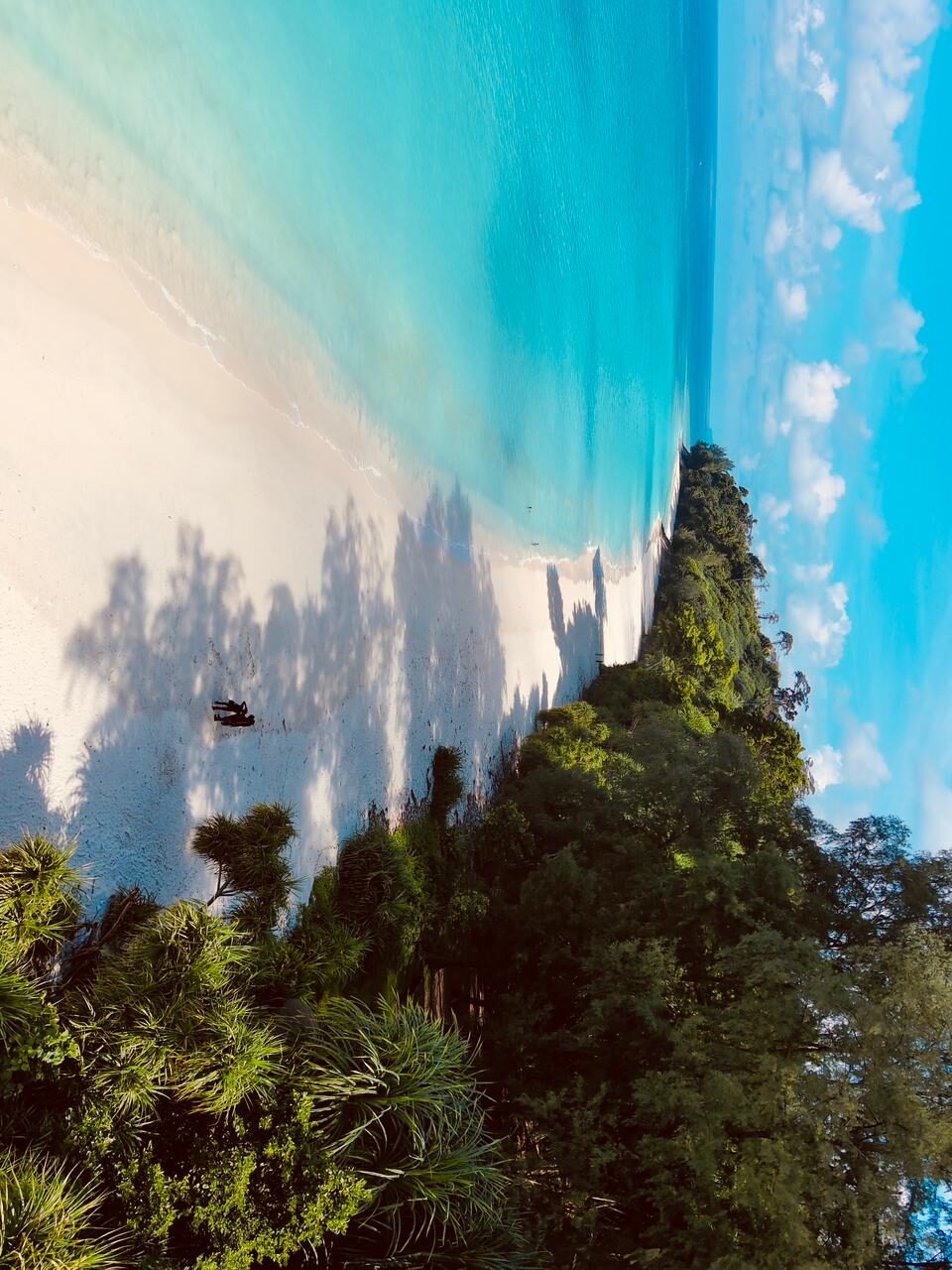 Vridhi traveler group photo at a scenic Andaman viewpoint